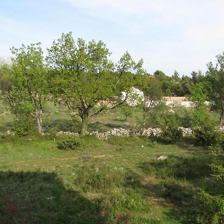 Paklina Apartments Starigrad Paklenica Zewnętrze zdjęcie
