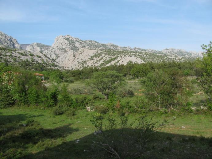 Paklina Apartments Starigrad Paklenica Zewnętrze zdjęcie