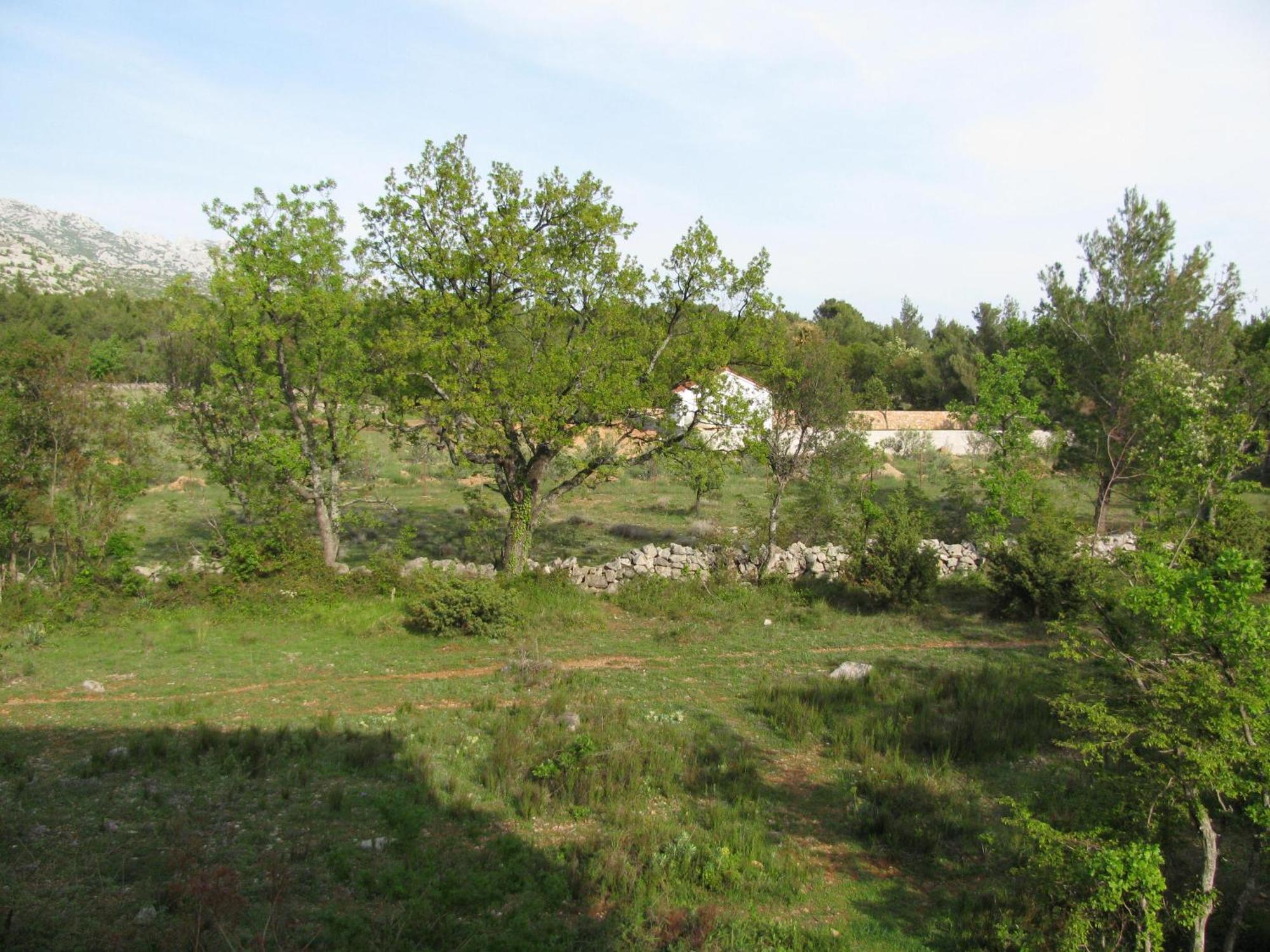 Paklina Apartments Starigrad Paklenica Zewnętrze zdjęcie